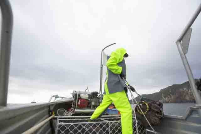 Commercial fisherman pulling a rope on a boat