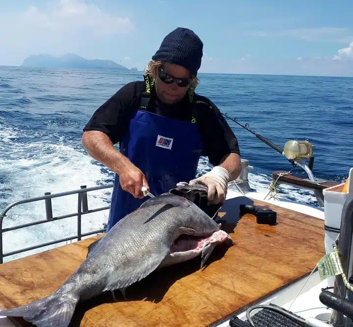 Fisherman wearing a blue Stormline 999ST heavy-duty PVC fishing apron while filleting a large fish on a boat